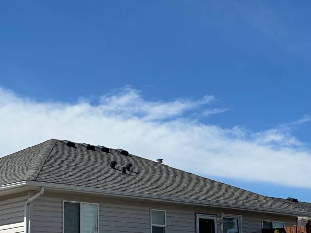 Steel Roofing in Ranger, TX